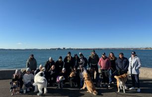 Hi Marley Annual Dog Walk at Castle Island